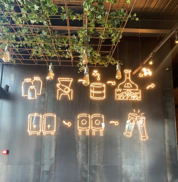 Pictogrammes sur support plexiglas en néon led