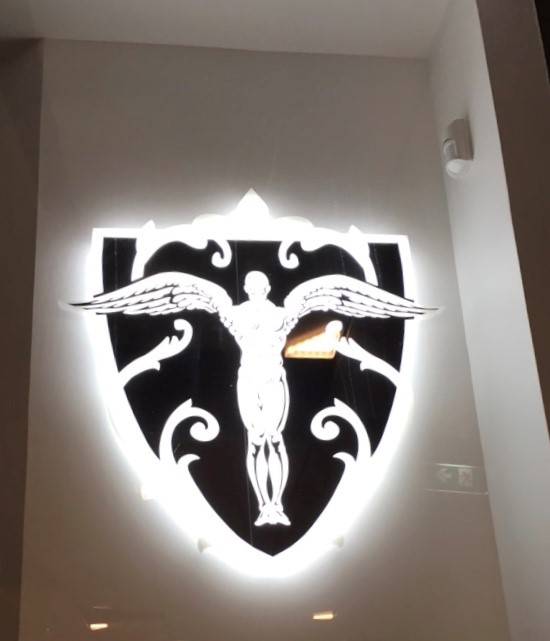 Blason lumineux bloc led éclairé